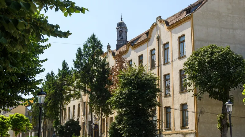 Silvania National College