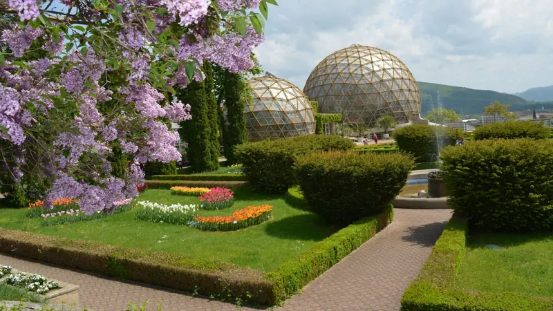 Jibou Botanical Garden