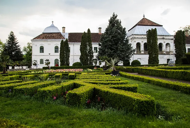 Jibou Botanical Garden - greenhouses