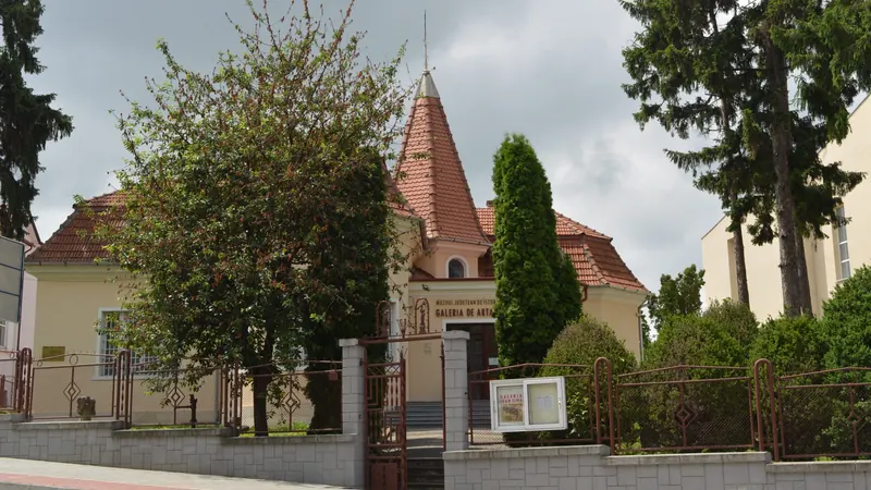 Ioan Sima Art Museum